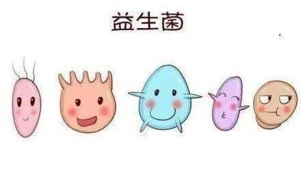 宝宝益生菌服用的几大误区