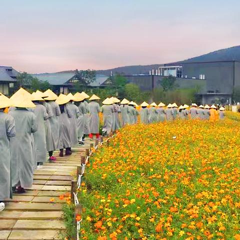 [苏州太湖生态园]相关长尾关键词有哪些