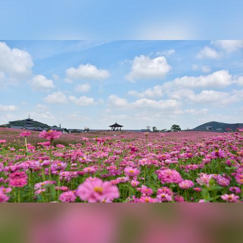 无锡市湖滨高中在哪里