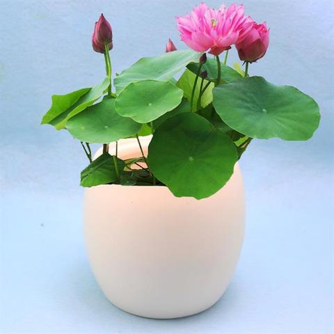 合肥市襄河公园在哪个区