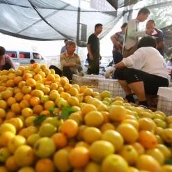 临沂市珍珠板厂的长尾关键词有什么