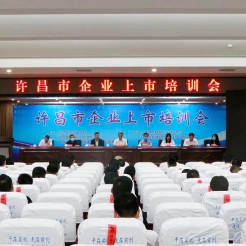 河南大区是哪个区