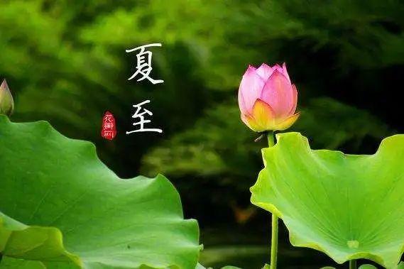 夏至宝宝冬病夏治怎么做2018
