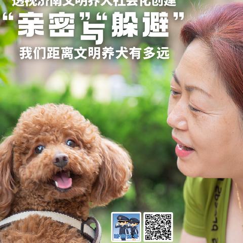 济南市区可以养哪些犬