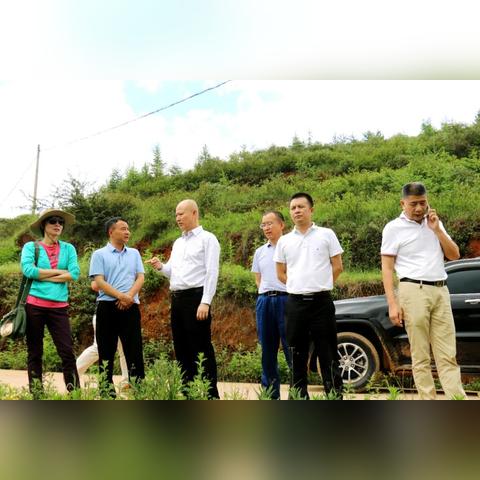 广东东莞市莞城财政分局的长尾关键词有哪些