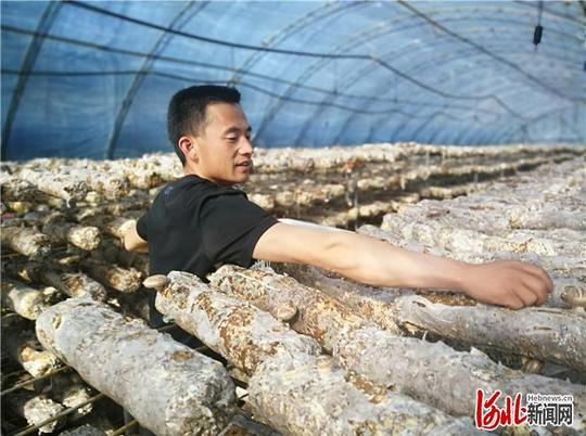 脱贫攻坚｜河北平泉：为脱贫攻坚培育更多“领头雁”