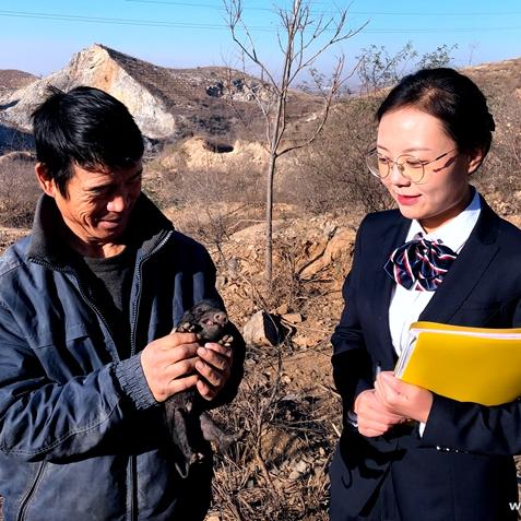 石家庄市高中档案的长尾关键词有什么