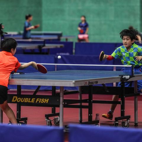 沈阳体育频道相关长尾关键词有哪些