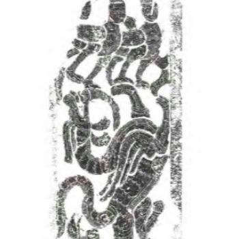 临沂市哪里能买鸟苗子