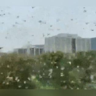 苏州市疾控中心什么级别