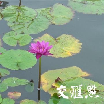 南通租房外滩相关长尾关键词有哪些