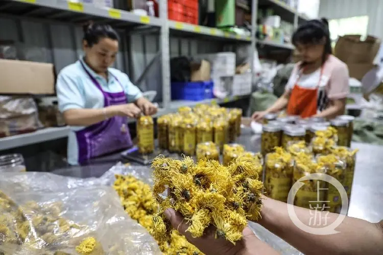 在上海如何一个月赚两万 如何打工一个月赚两万多