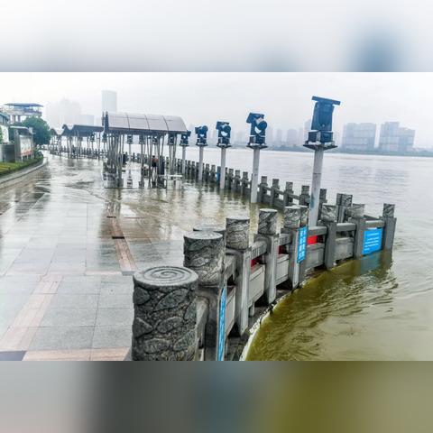 武汉江滩指哪里？