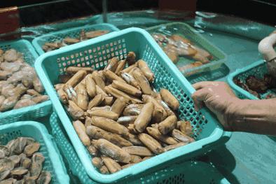 北京13人感染新冠
,北京13人感染新冠! 北京13人感染新冠
,北京13人感染新冠!