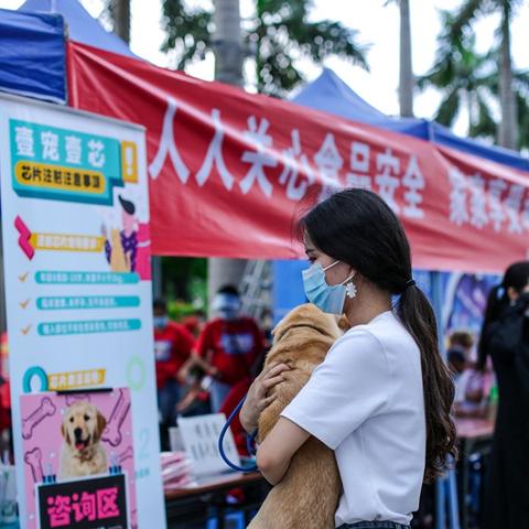 宠物跨境电商平台认证 的拓展长尾关键词有哪些 