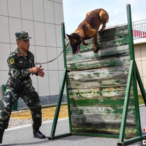 福建军事怎么样