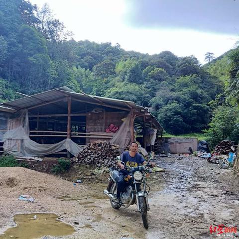 福建实诚的相关长尾关键词有哪些