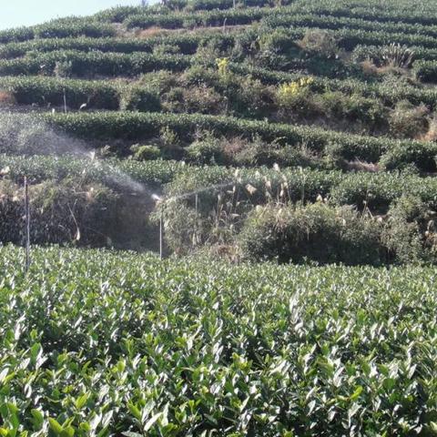 温州市节水宣传团的长尾关键词有什么