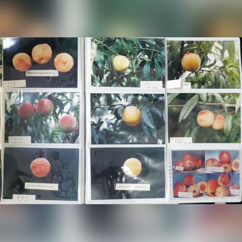 杭州市62代表什么意思