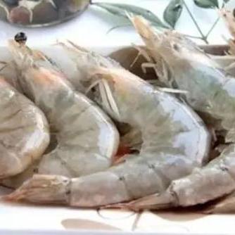 中国厄瓜多尔足球比赛的长尾关键词有哪些