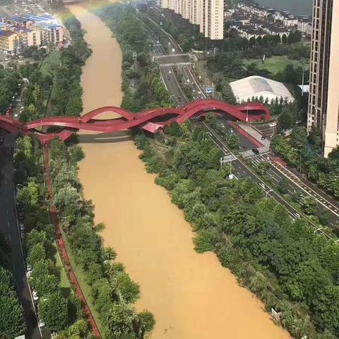 长沙市树？