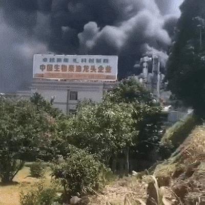 福建省能源处处长的相关长尾关键词有哪些