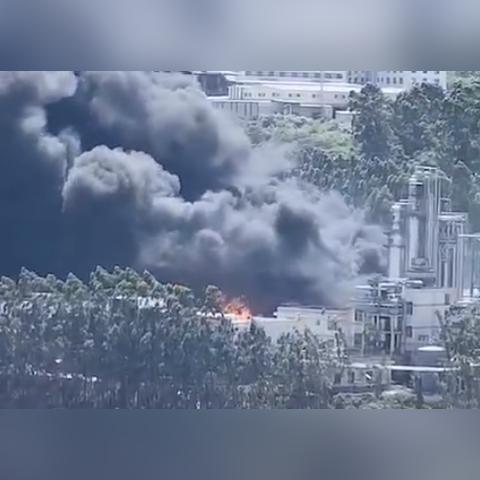 福建新能源科技有限公司怎么样？