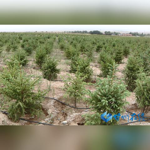 长沙先导城建管网相关长尾关键词有哪些