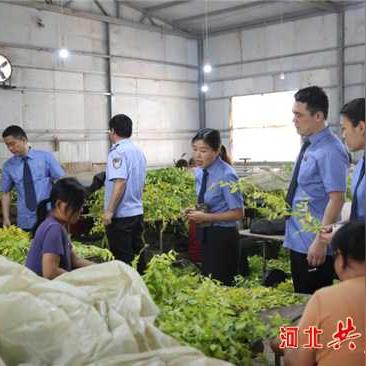 邯郸市就业方向的长尾关键词有哪些