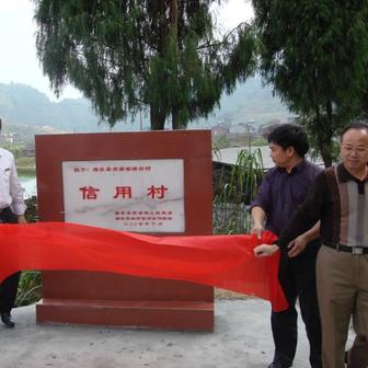 福建农信是什么银行的相关长尾关键词有哪些