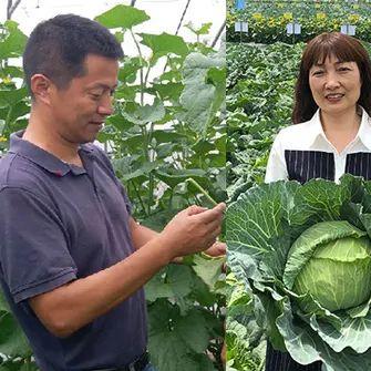 温州市职称评定怎么弄