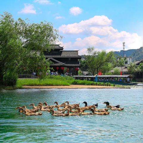 桂林市文化村是哪里的