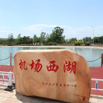 石家庄市哪里有卖蚊蝇的