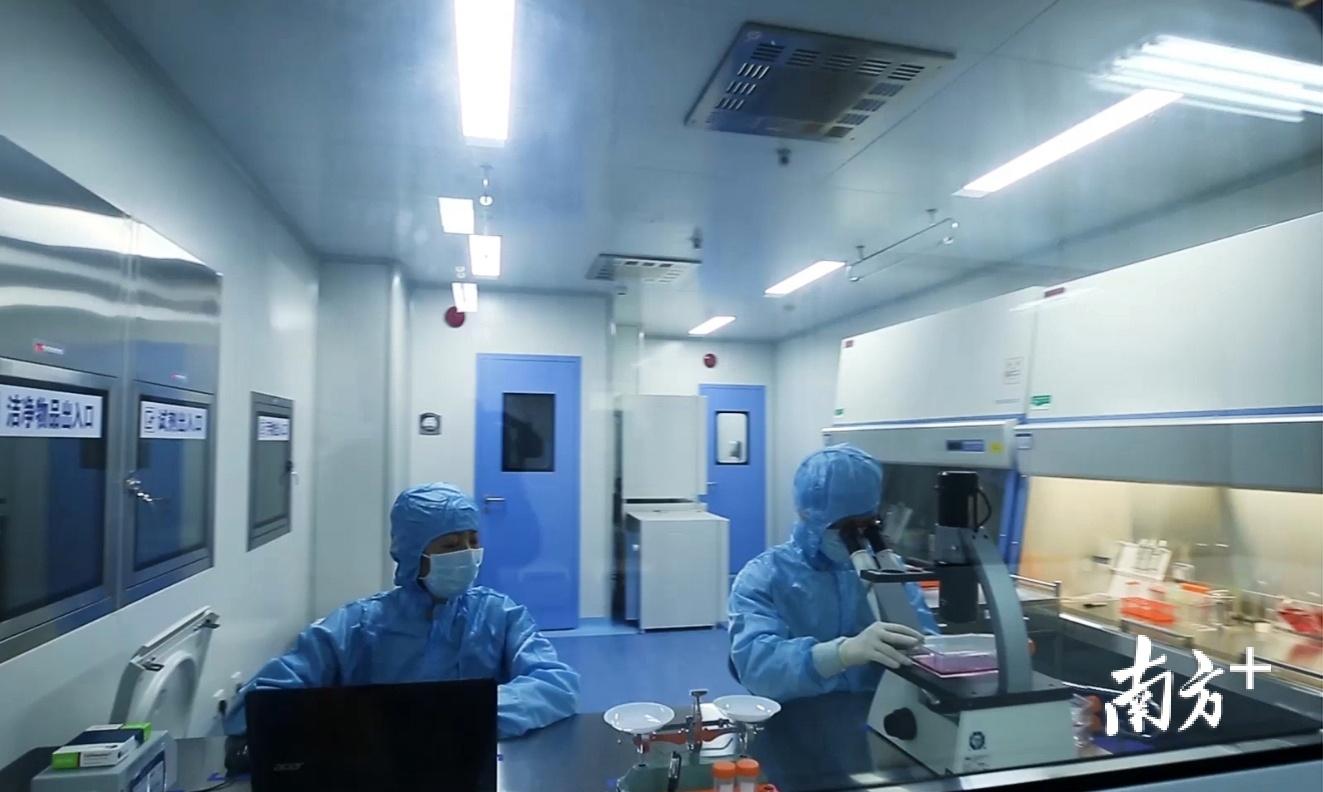 肿瘤临床与康复全国中文核心期刊肿瘤免疫疗法能彻底治好癌症吗