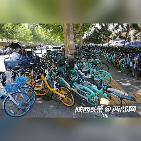 单车运维专员是做什么的长尾关键词有什么