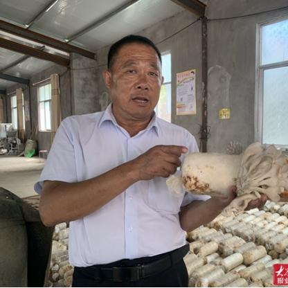 临沂市沂水县夏蔚西山村的长尾关键词有什么