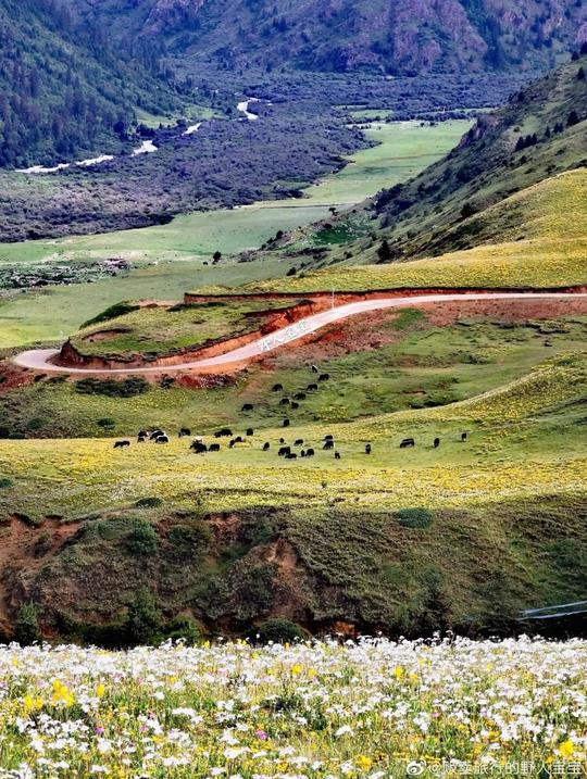 就在本月，川西这条“神仙”旅游公路全线贯通！7、8月沿线大波冷门景点迎来颜值最佳