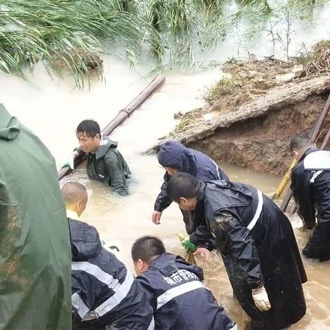 合肥站到蜀山区，电子产业园湖光路怎么走？