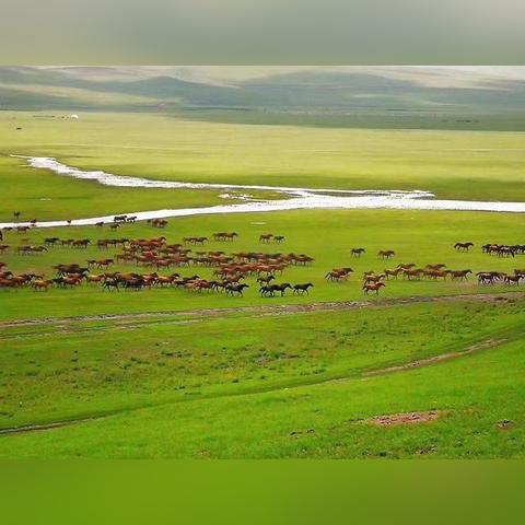 海拉尔 天气的长尾关键词有什么