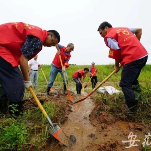 无锡市新安街道大暴雨的长尾关键词有哪些