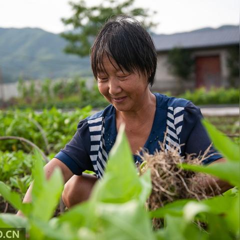 福建哪个市有永州