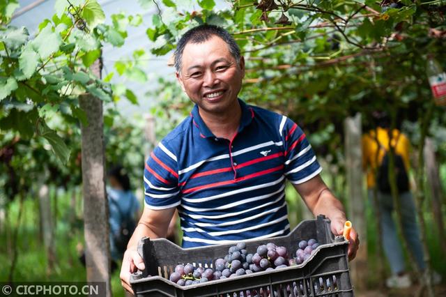 2020适合大暑节气的养生食谱大全推荐