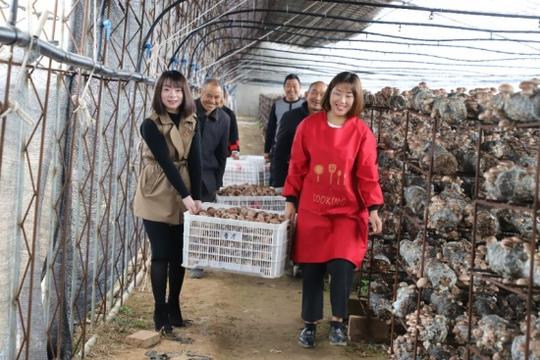 鲁山县：“红鹰创业工程”竖起示范带动党建旗帜