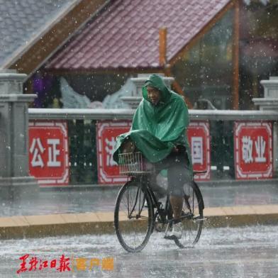 哈尔滨16日暴雨相关长尾关键词有哪些