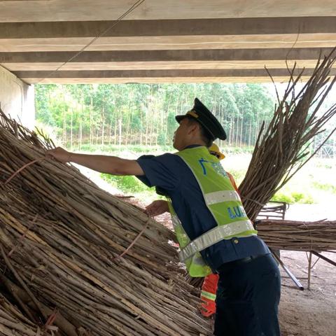 南宁 柴火的相关长尾关键词有哪些