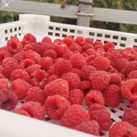 宁夏湿度为什么大