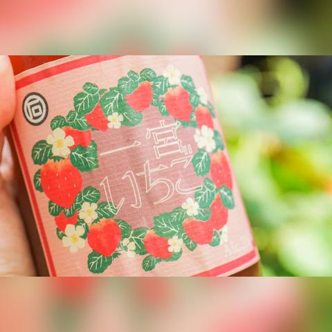 广东省佛山市的手帐店的长尾关键词有哪些