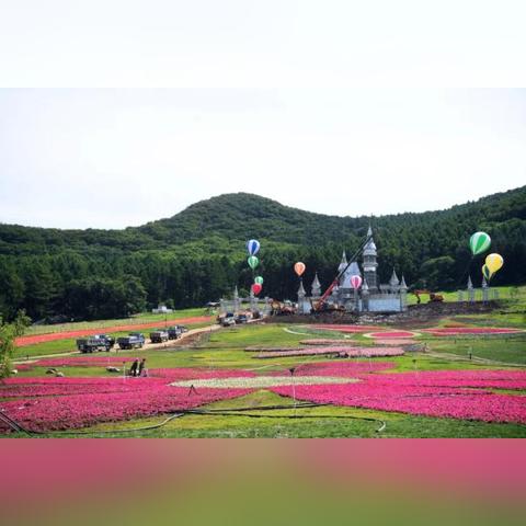 长春市有多少家旅游公司