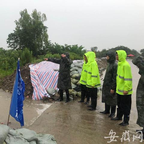 合肥市城管局怎么样啊