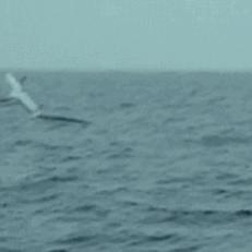 广州声视相关长尾关键词有哪些